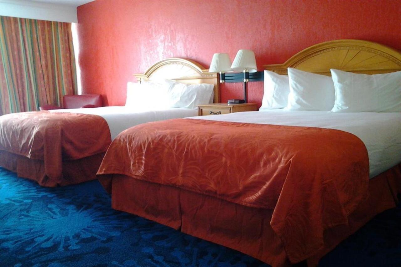 Dolphin Beach Resort St. Pete Beach Esterno foto